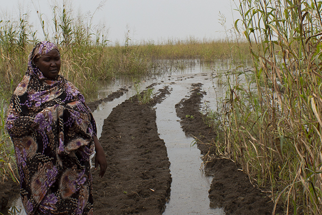 FAO and Belgium assist food-insecure farming households impacted by the floods in the Sudan